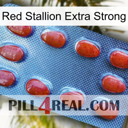 Red Stallion Extra Strong 06